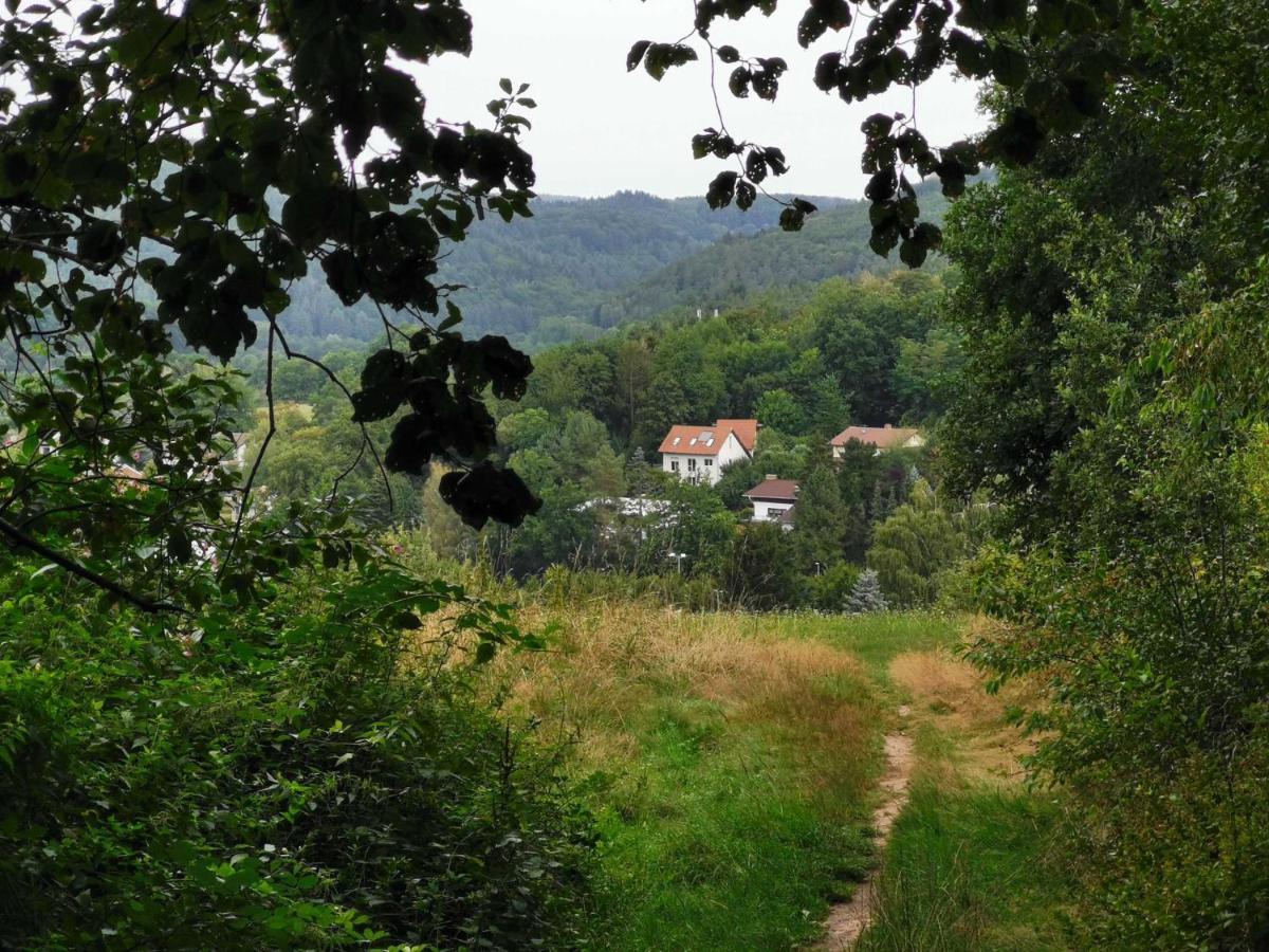 Haus Froehlich Daire Michelstadt Dış mekan fotoğraf
